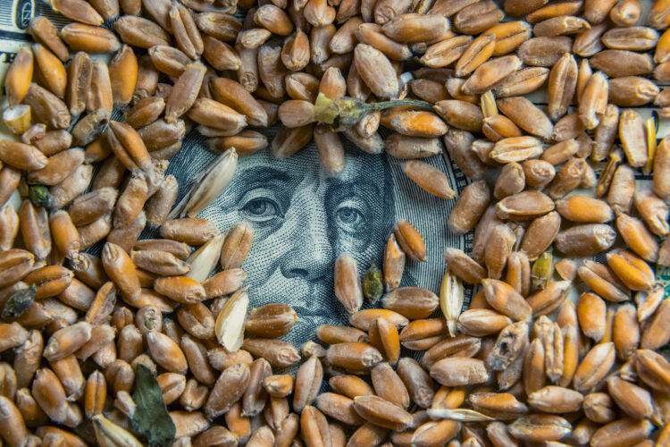 ND farmer weighs in as Farm Bill debate kicks off